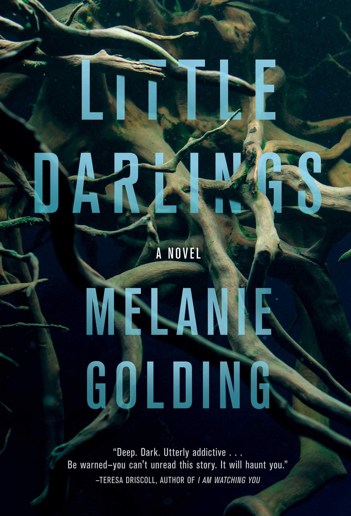 melanie golding - little darlings