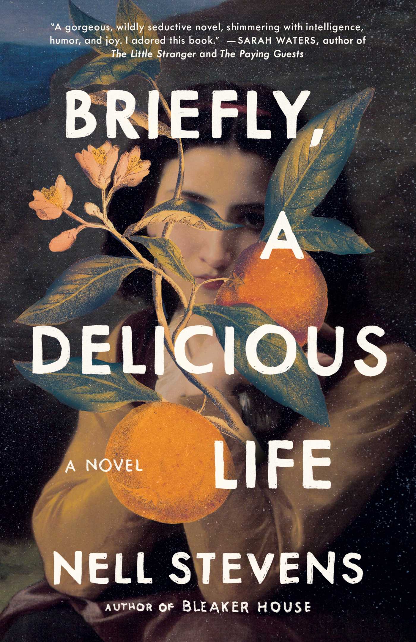 Nell Stevens - Briefly, a Delicious Life